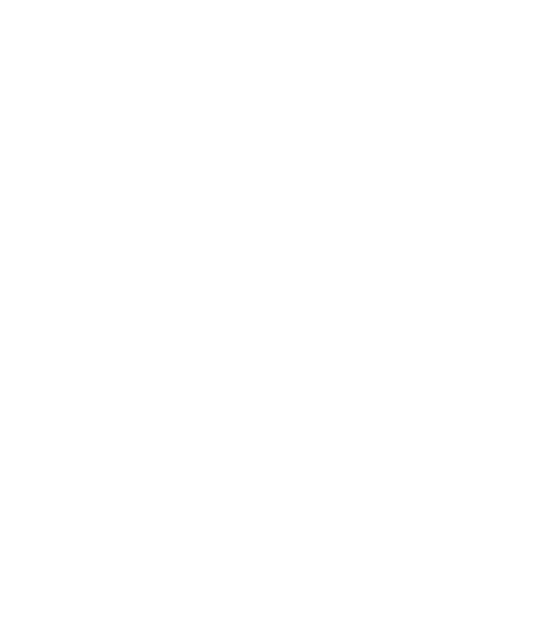Ren Cykel